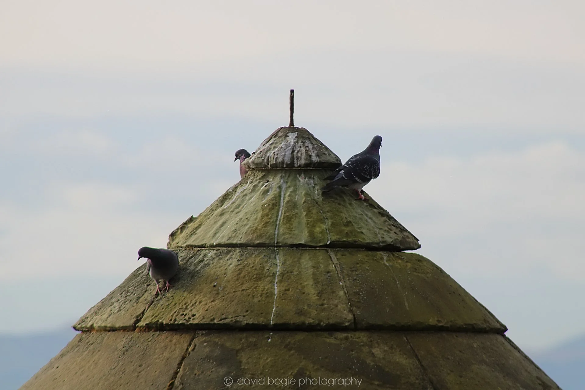 20210318 Ravenscraig (2).jpg