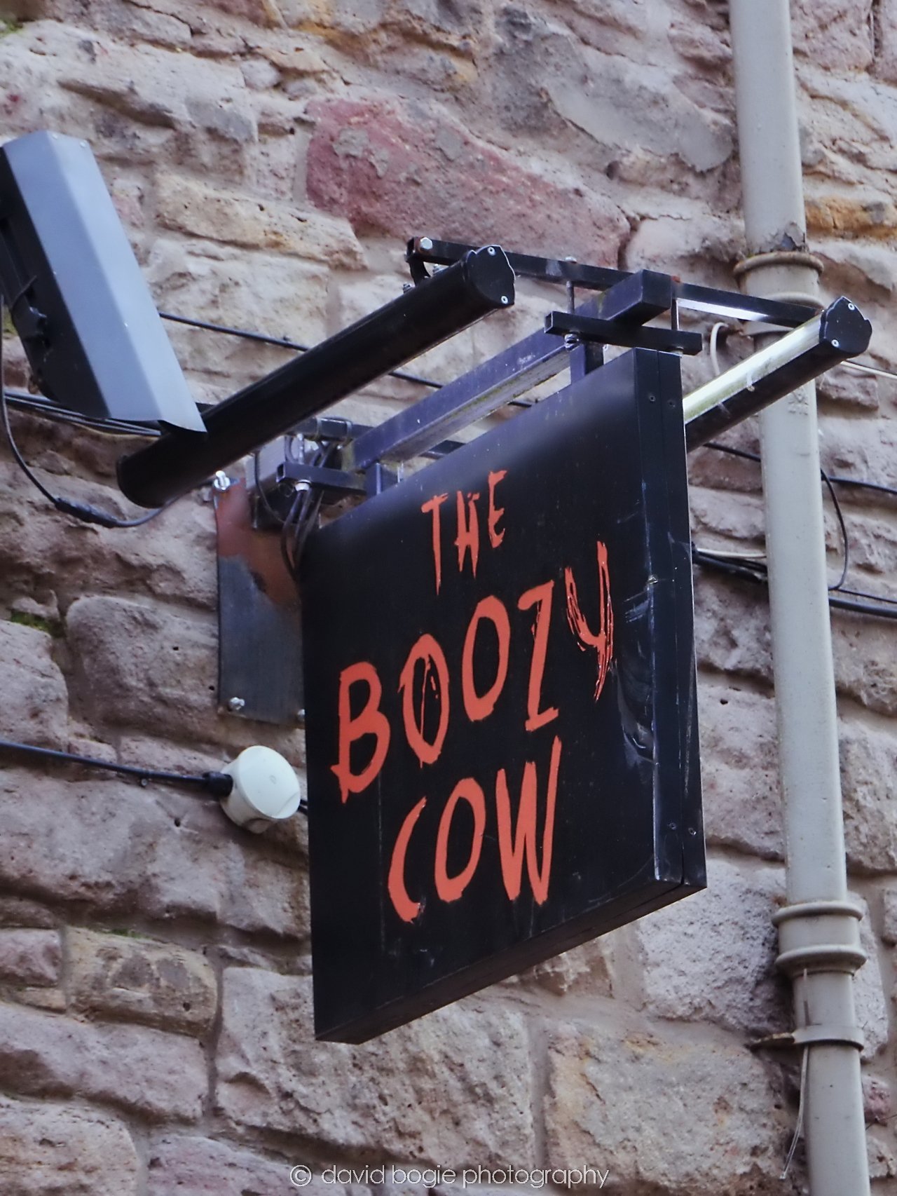 YEAR20240202 Edinburgh 0302.jpg