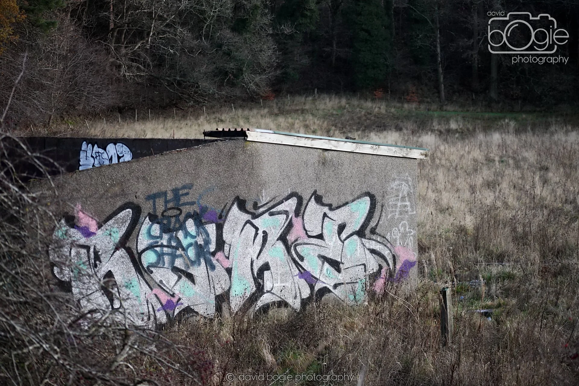 20251205 124534 East Calder 0046.JPG