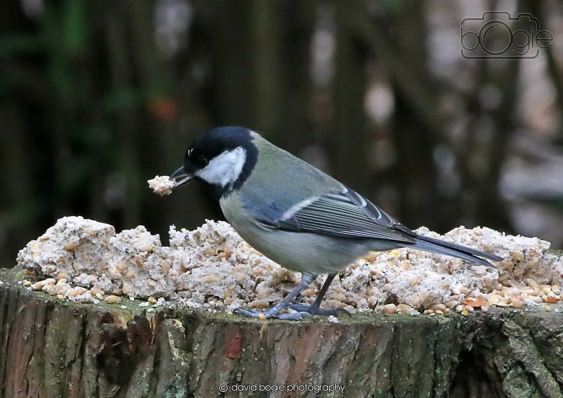 20260403 130121 Dunnikier 0278.jpg