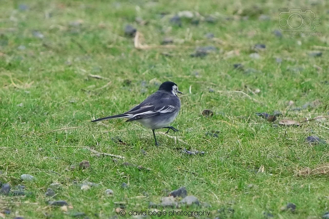 20260208 145831 Kirkcaldy 0136.jpg