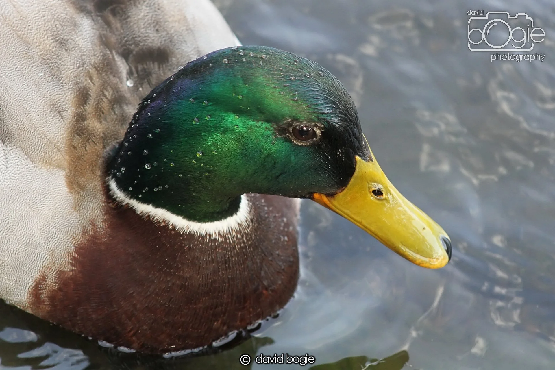 20240502 103042 Beveridge 0050.JPG