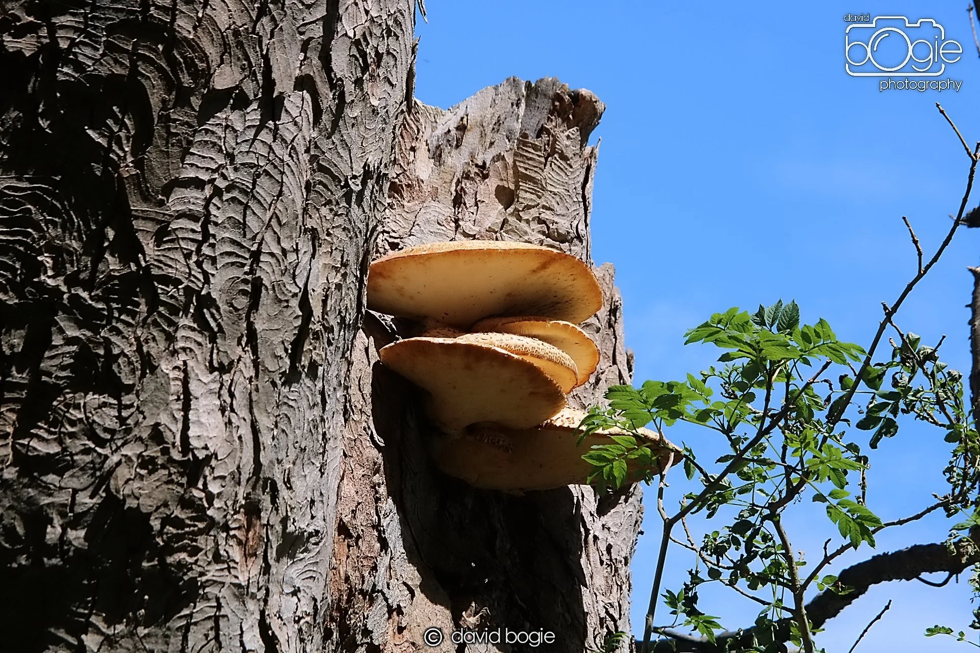 20210716 171954 Dunmore 0028  .JPG