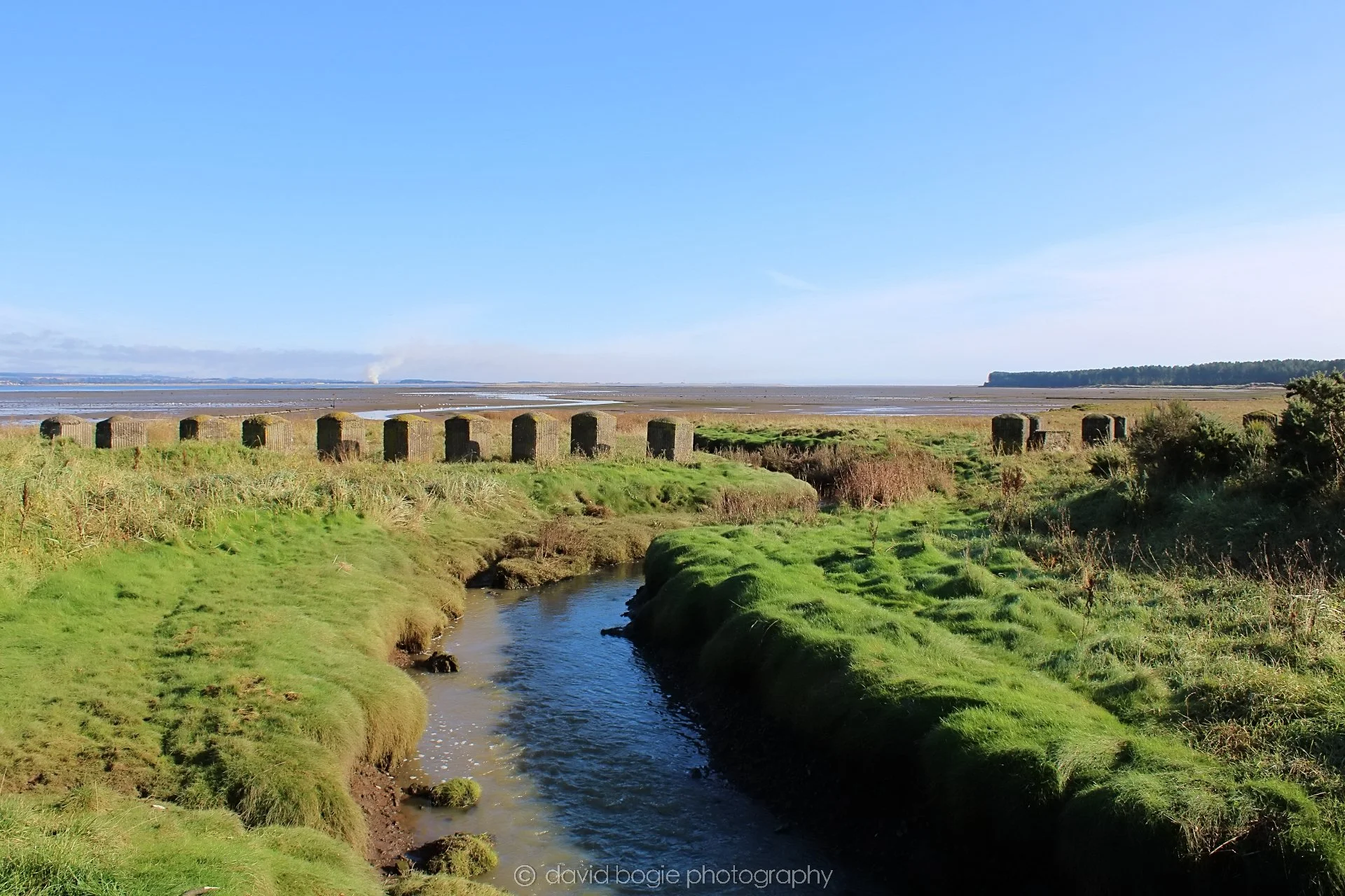 20191014 113413 Tentsmuir 0033.jpg