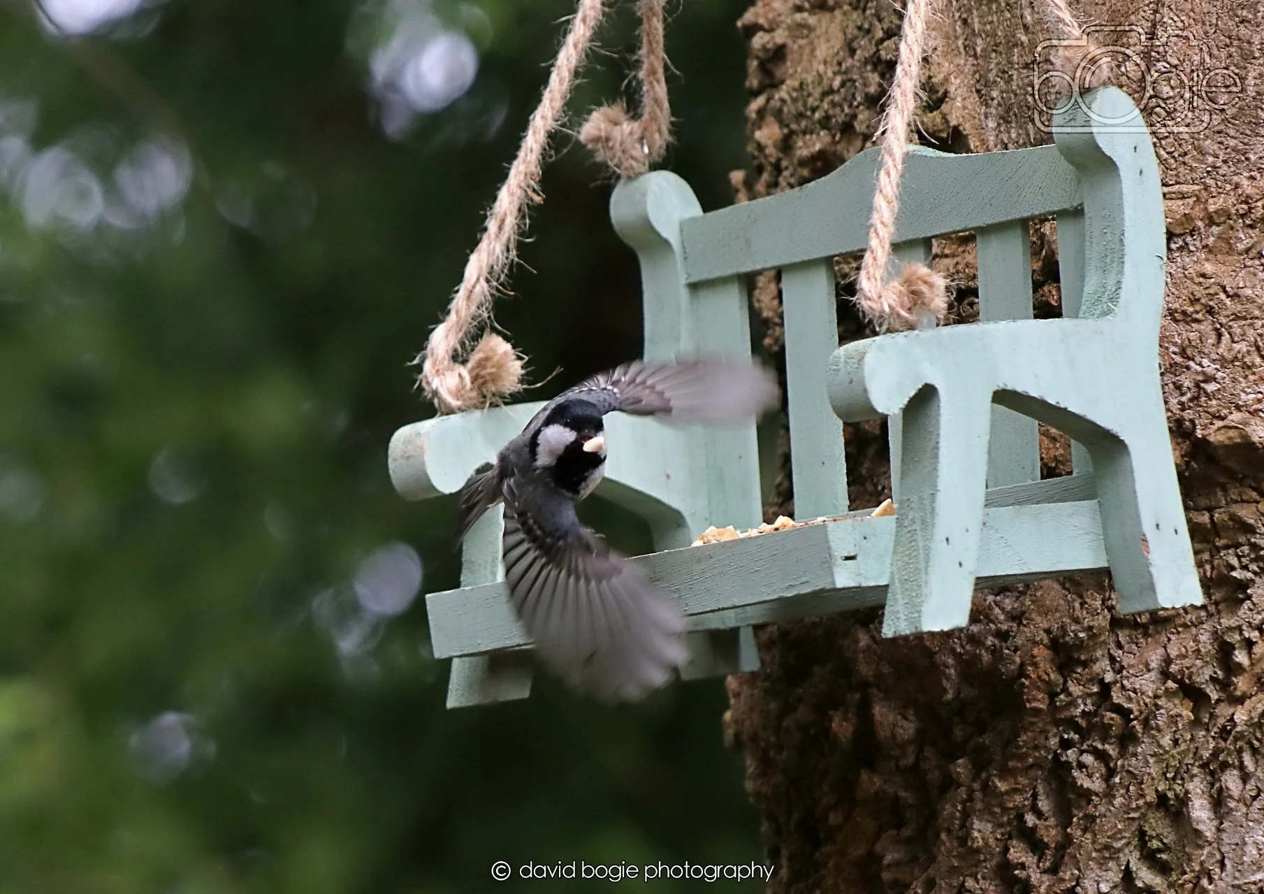 20260330 120107 Dunnikier 0341.jpg