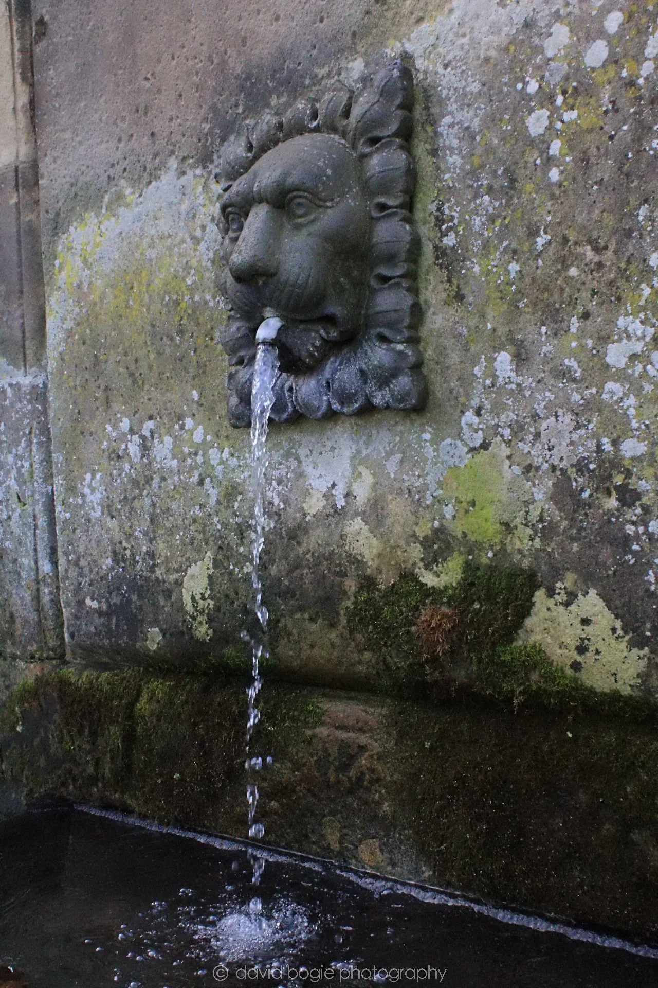 20190211 113555 Falkland 0005.jpg