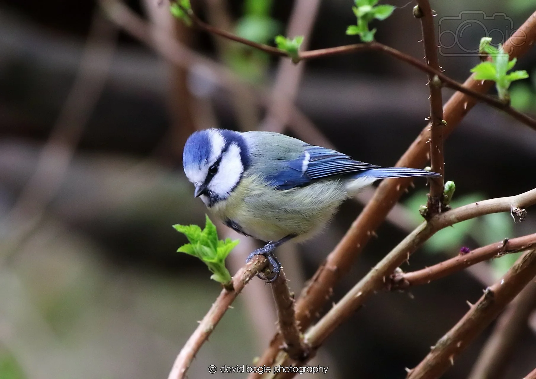 20260326 112514 Silverburn 0121.jpg