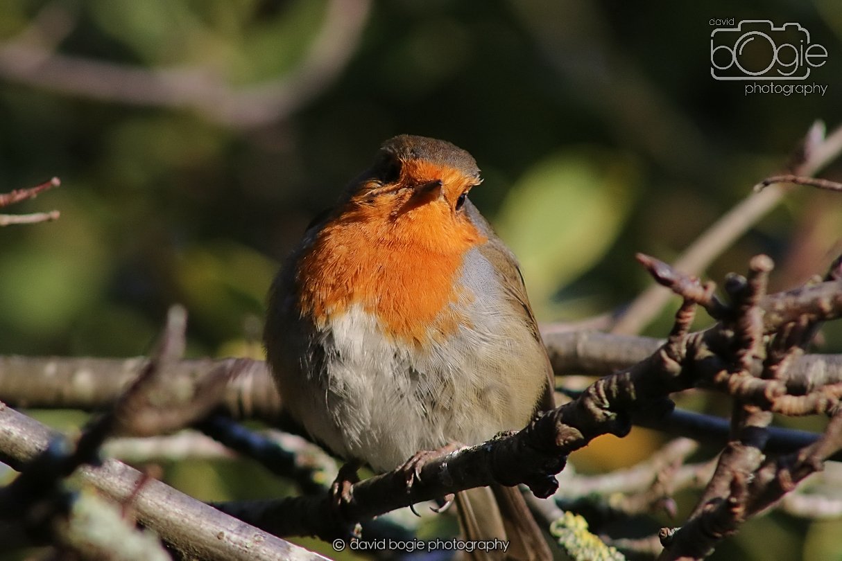 20251231 135606 Silverburn 0361.JPG