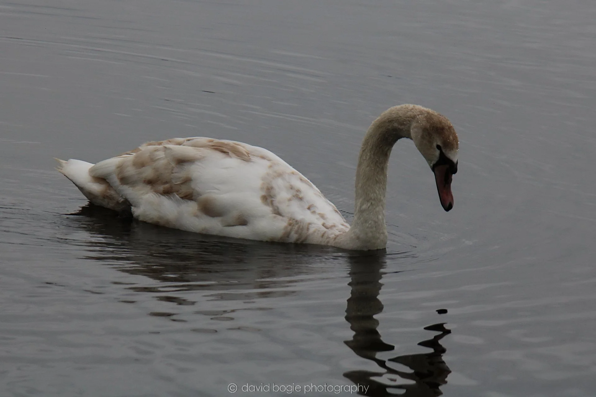 YEAR20220426 Lochore 11.jpg