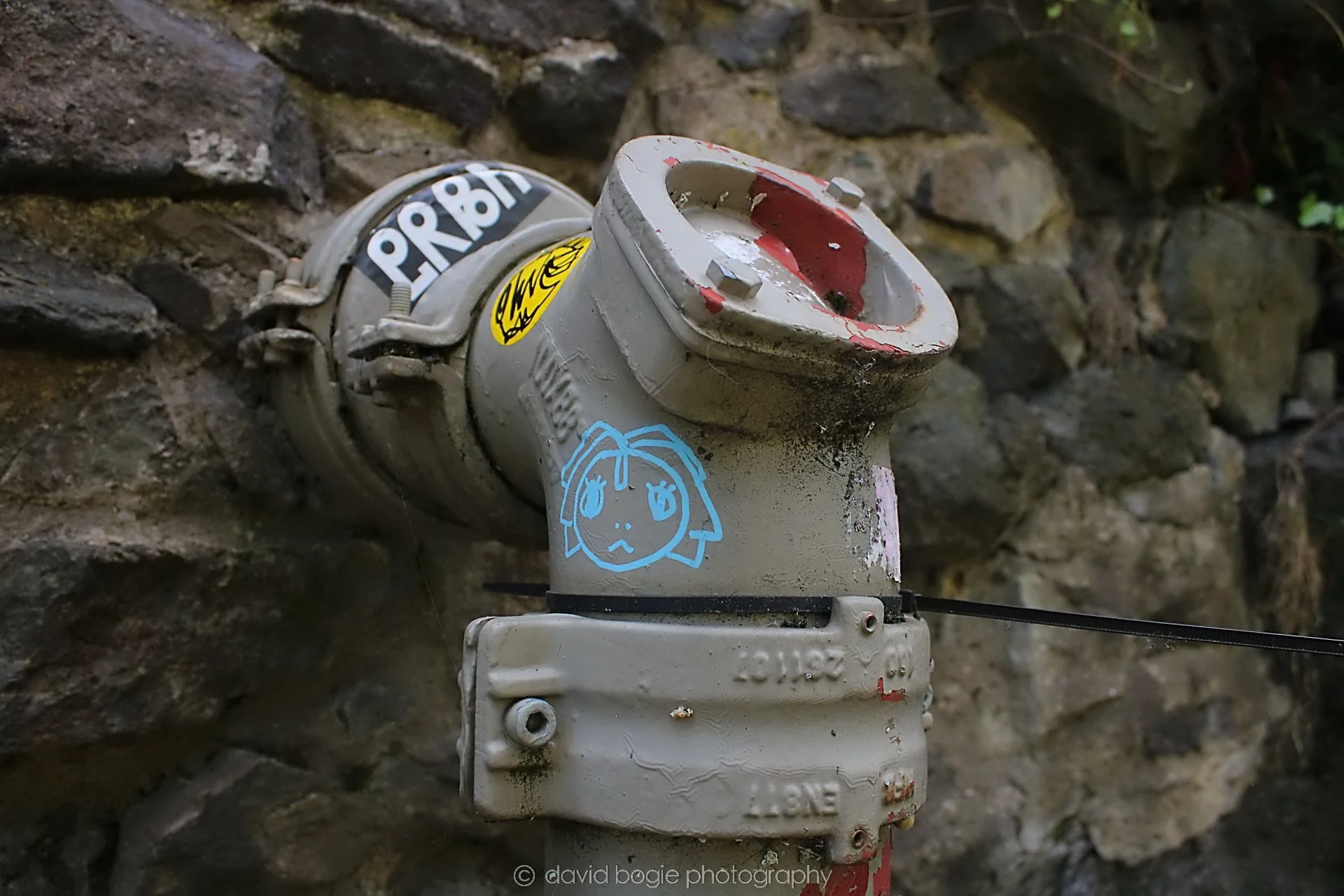 20210713 Edinburgh 40 .jpg