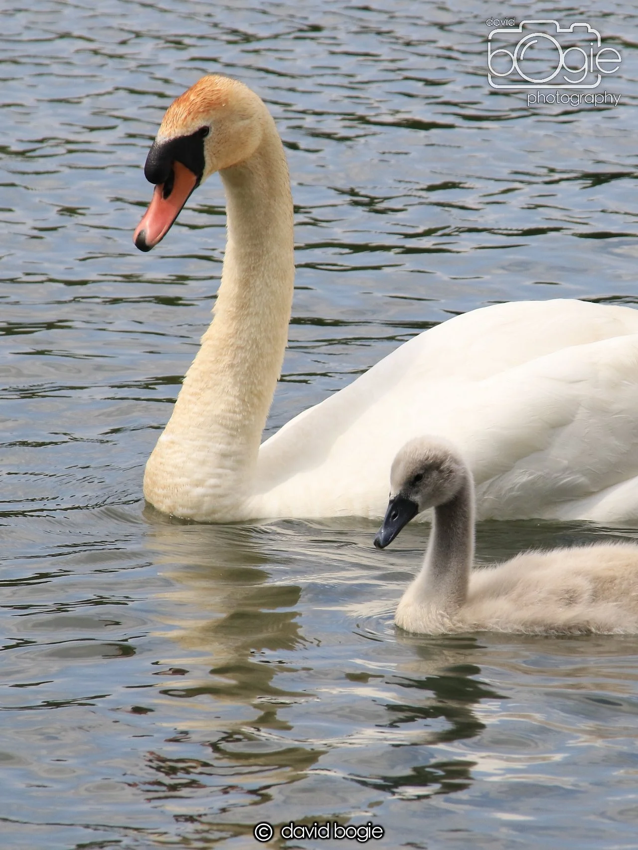 20250613 115549 Beveridge 0051.JPG