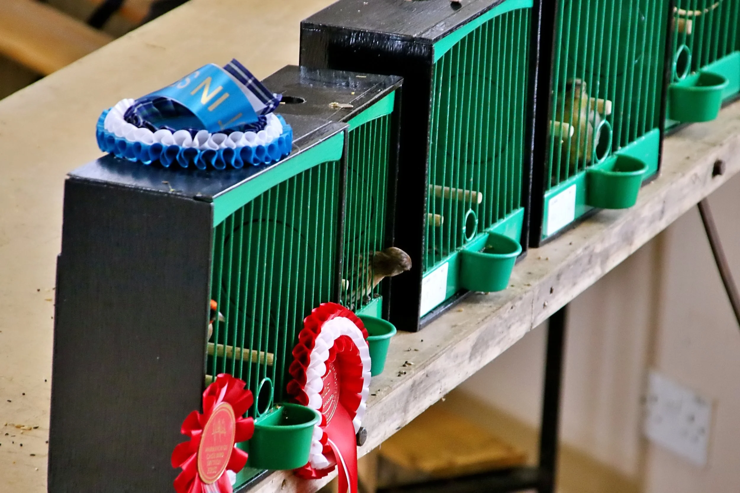 20251102 122925 Markinch CBS  0414.JPG