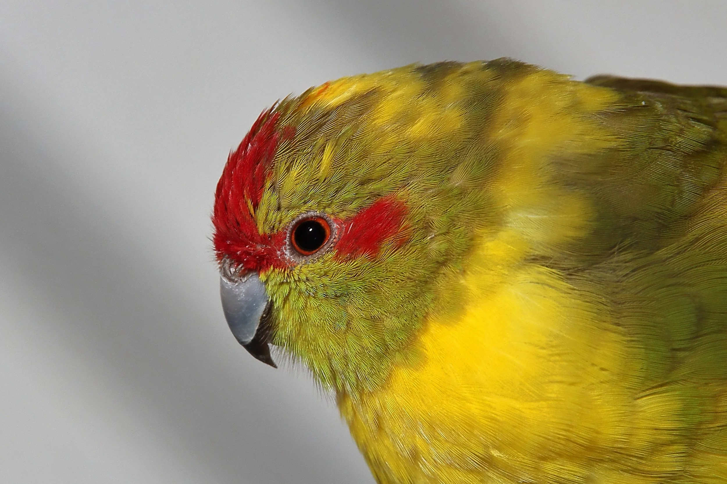 20260331 104048 K&S 0297.jpg