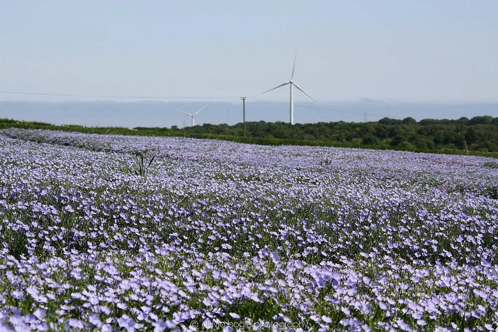 YEAR20230604 Balgonie 00008.jpg