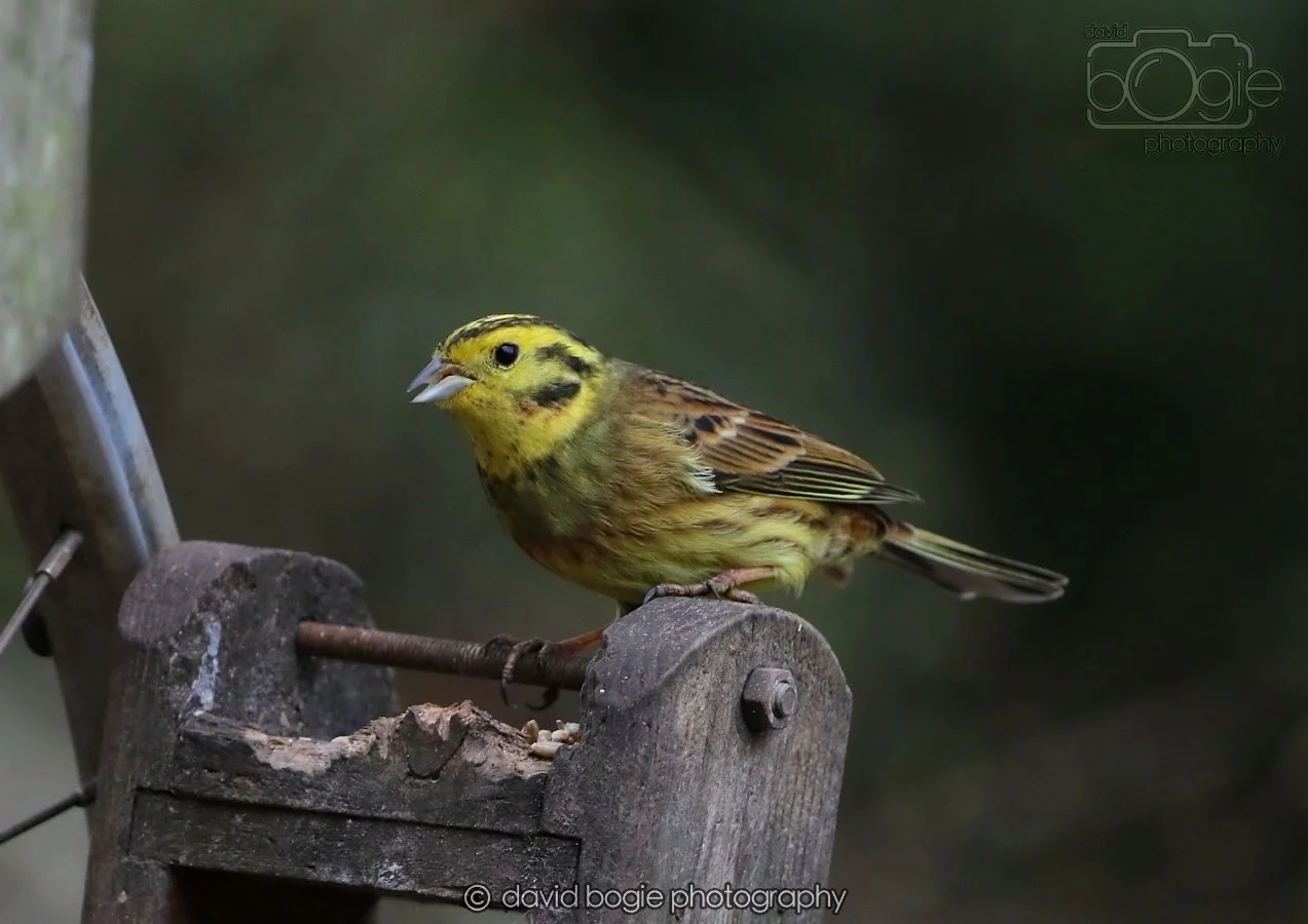 20260215 132434 Silverburn 0134.jpg