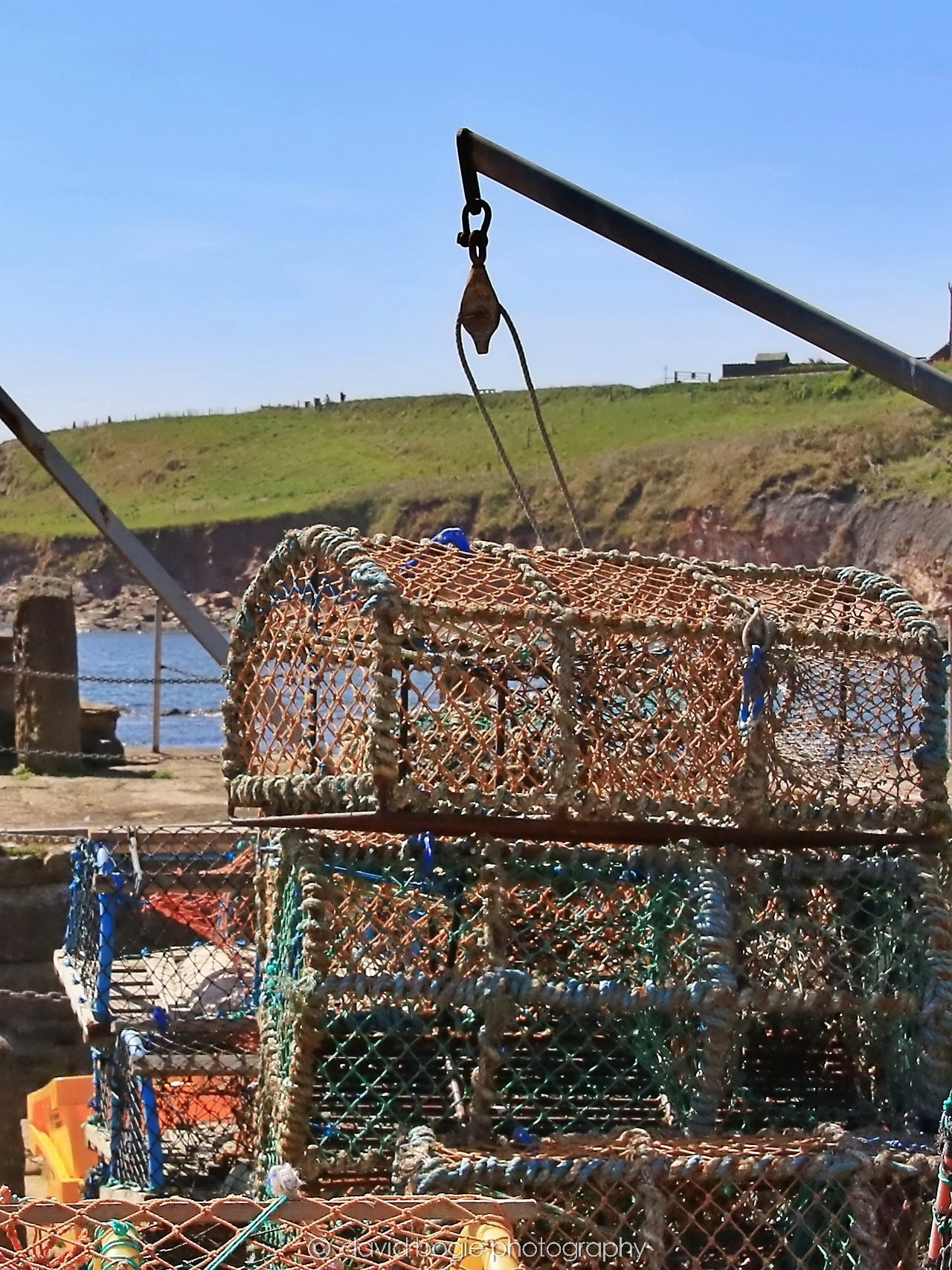 YEAR20250509 115552 Crail 0180.jpg