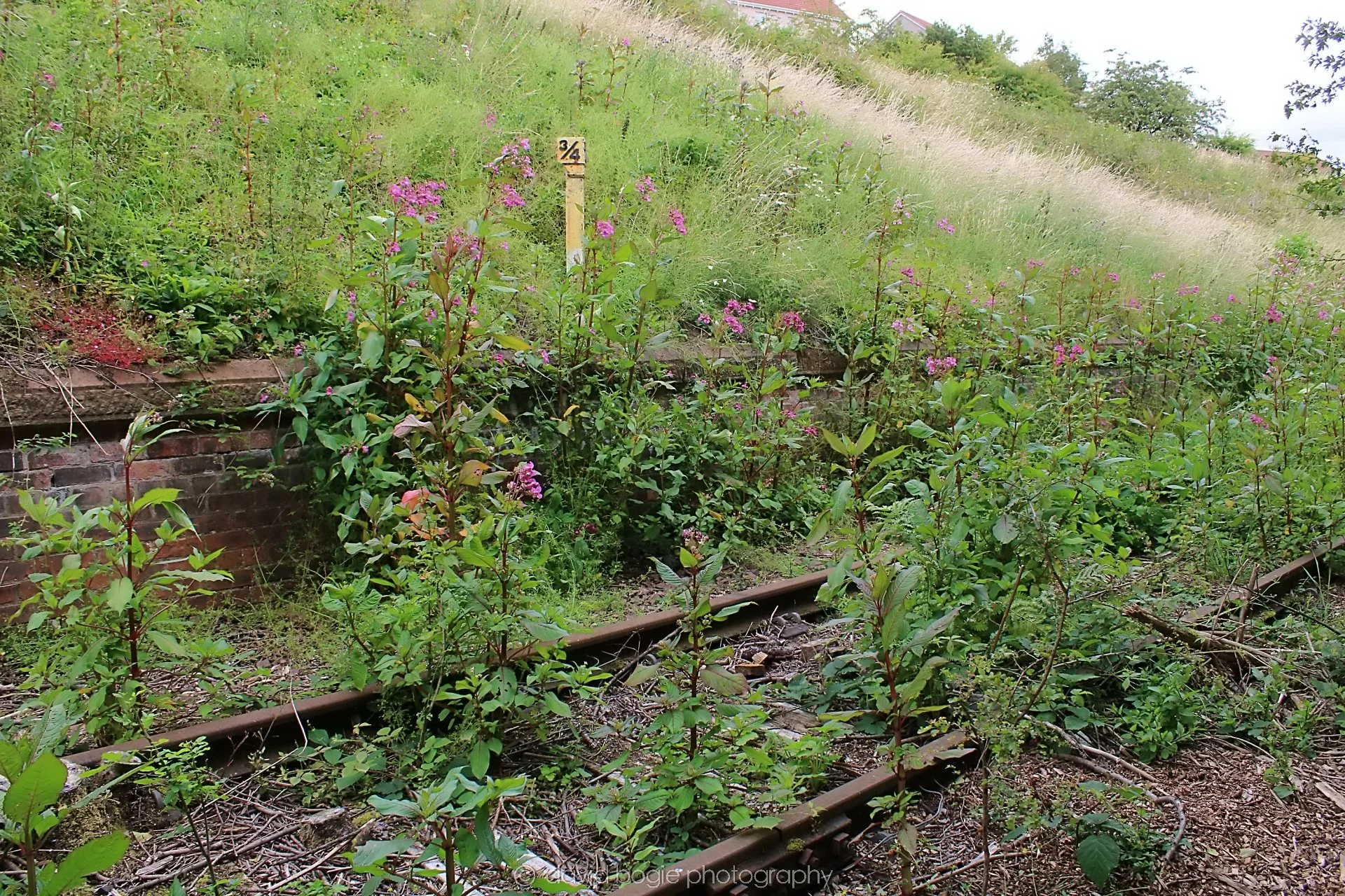 20200717 124226 Leven 0103.jpg