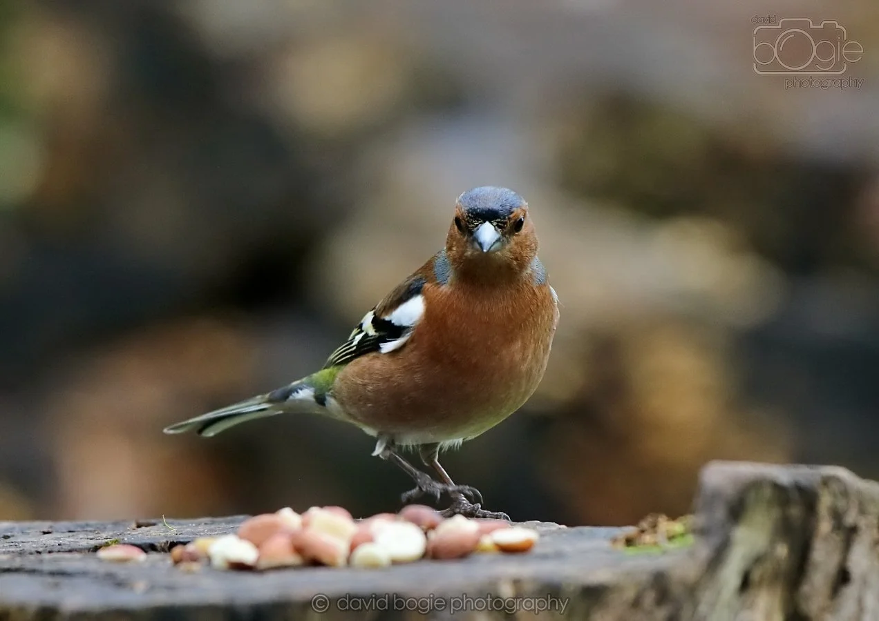 20260314 141027 Silverburn 0126.jpg