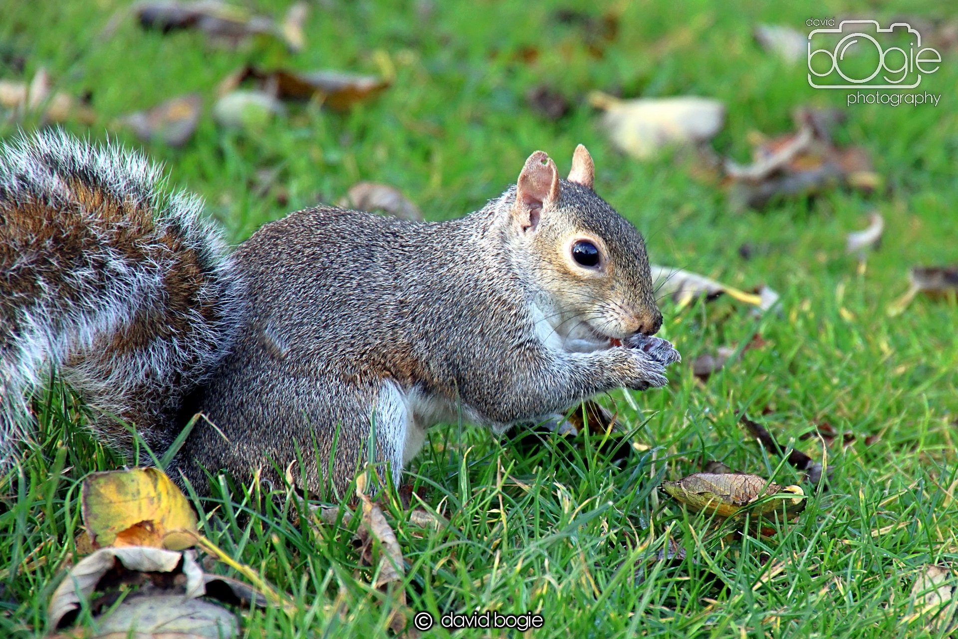 20231107 Beveridge Park 0420.jpg