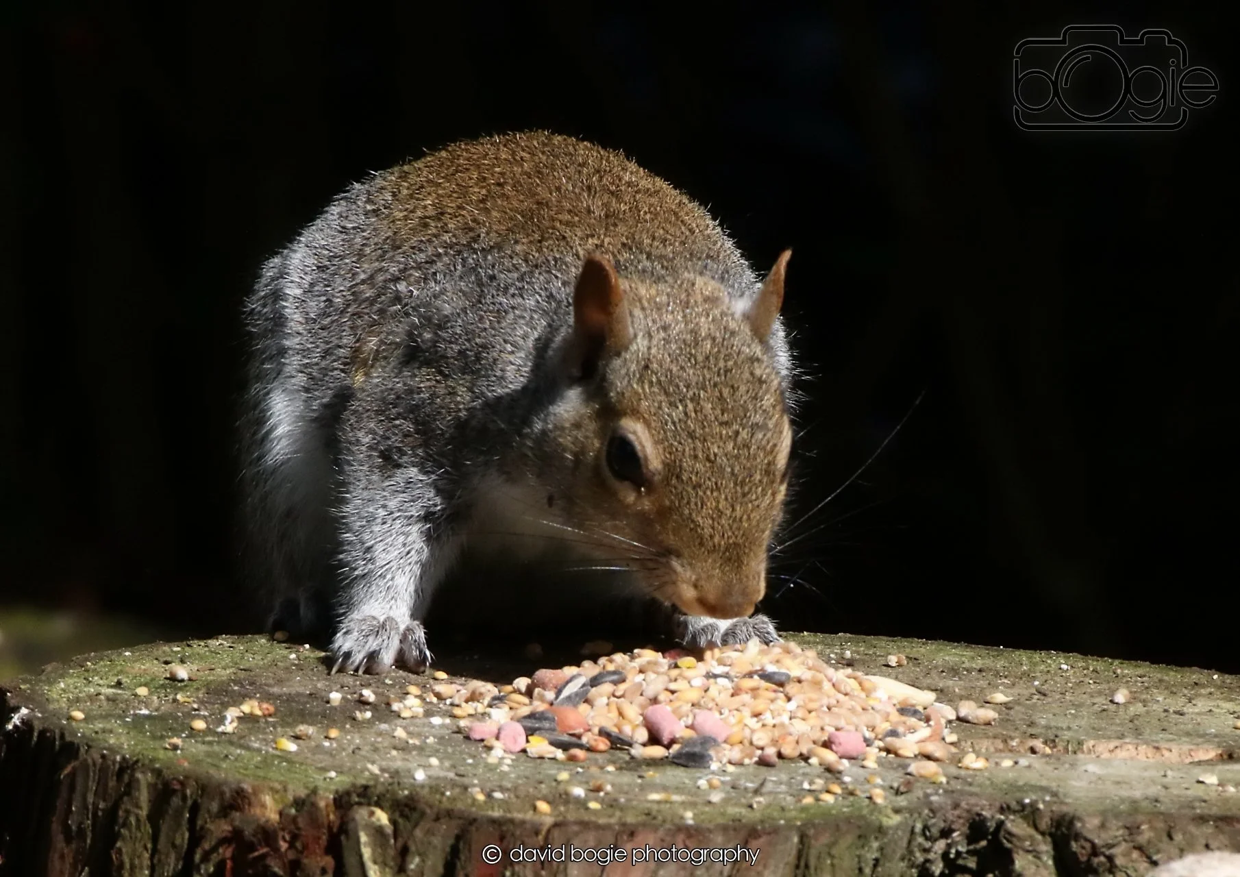 20260403 121515 Dunnikier 0100.jpg