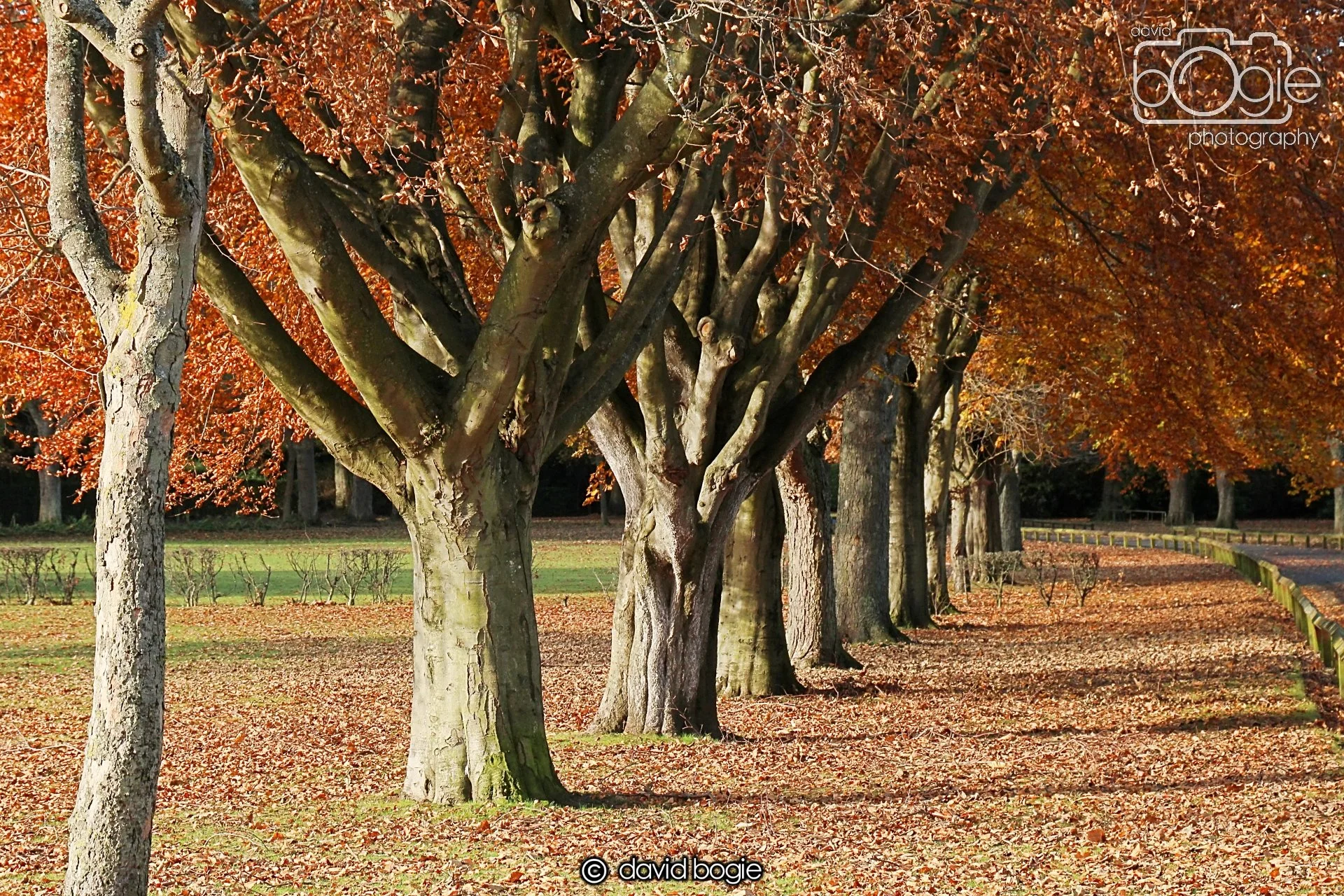20231107 Beveridge Park 0268.jpg