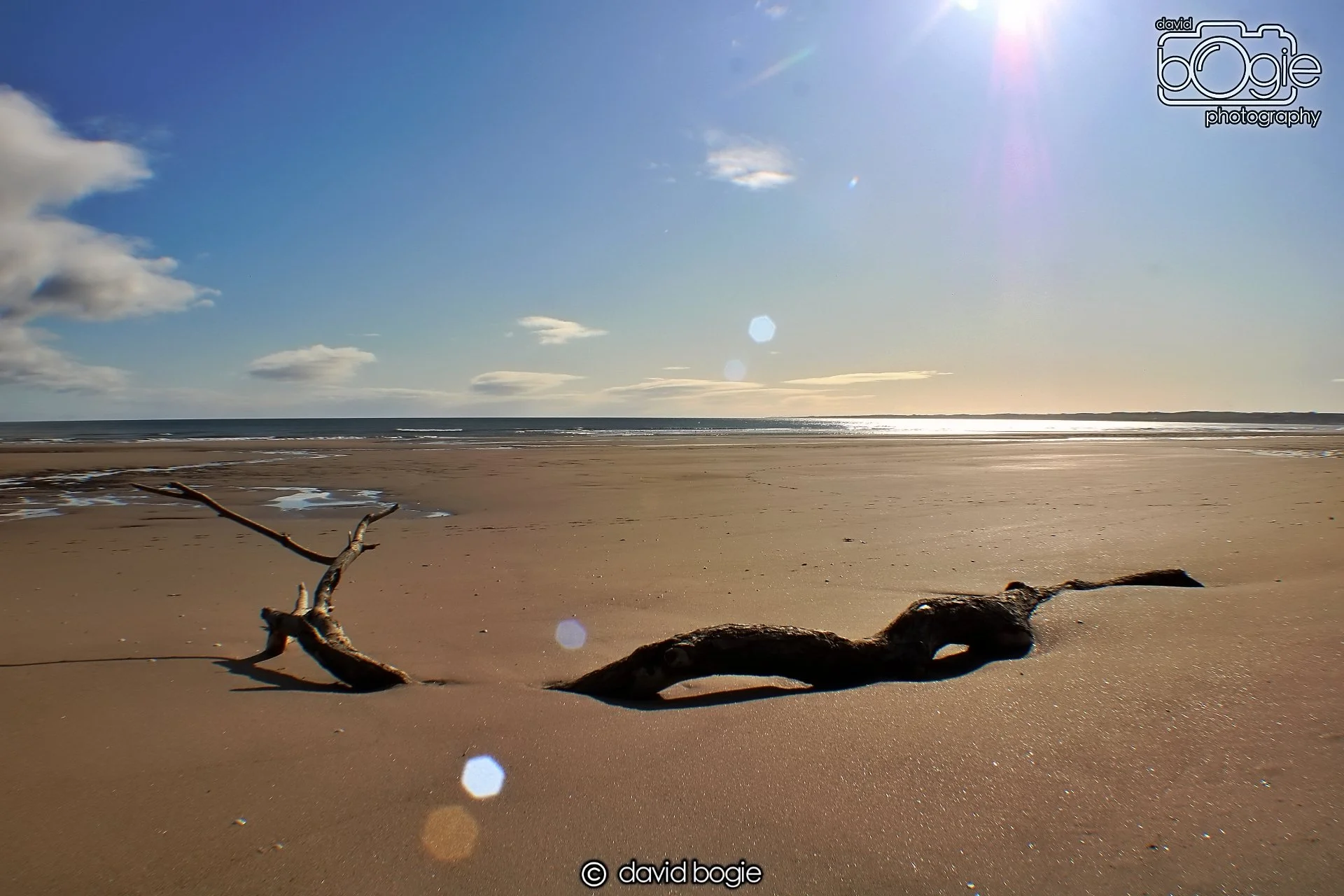 20191002 112405 Tentsmuir 0002.jpg