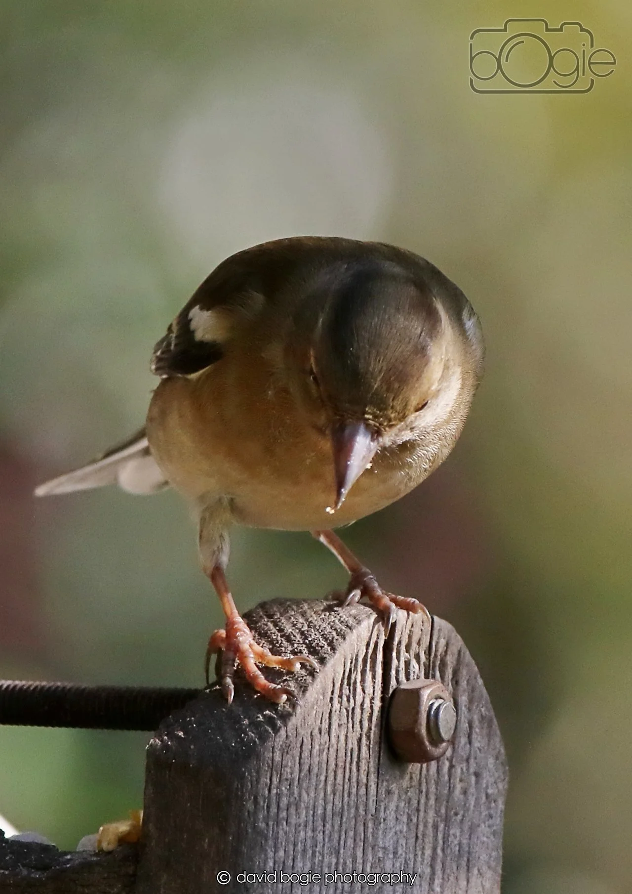 20260402 095734 Silverburn 0053.jpg