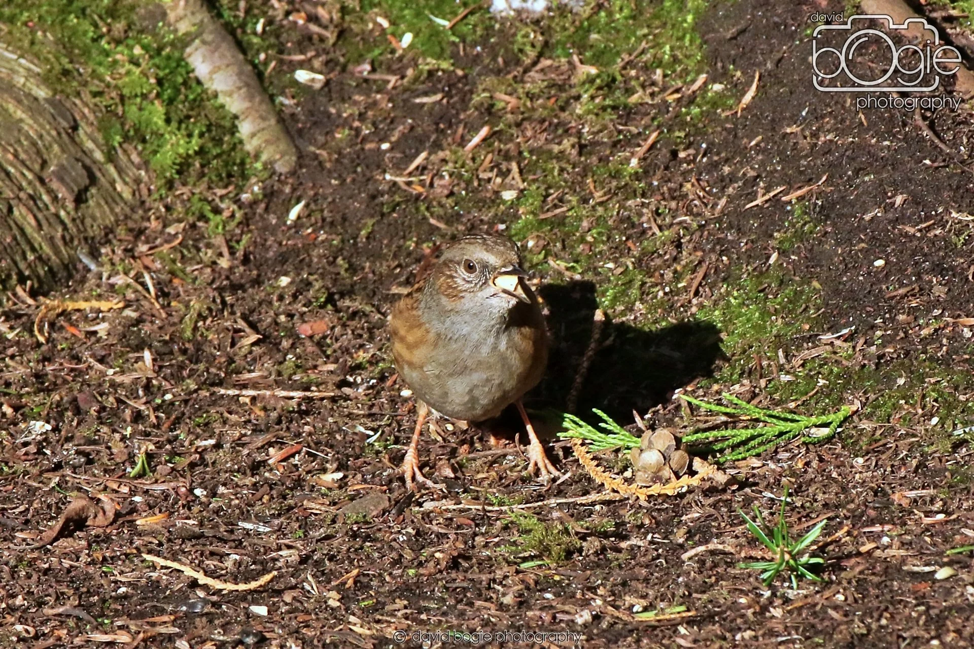 20260128 132021 Dunnikier 0165.JPG