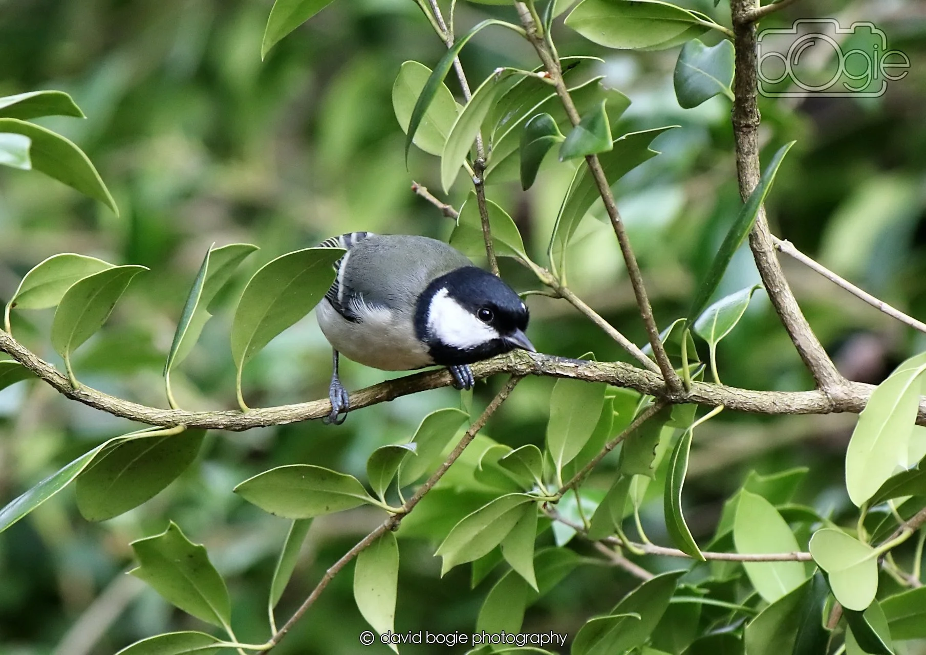 20260330 111524 Dunnikier 0079.jpg