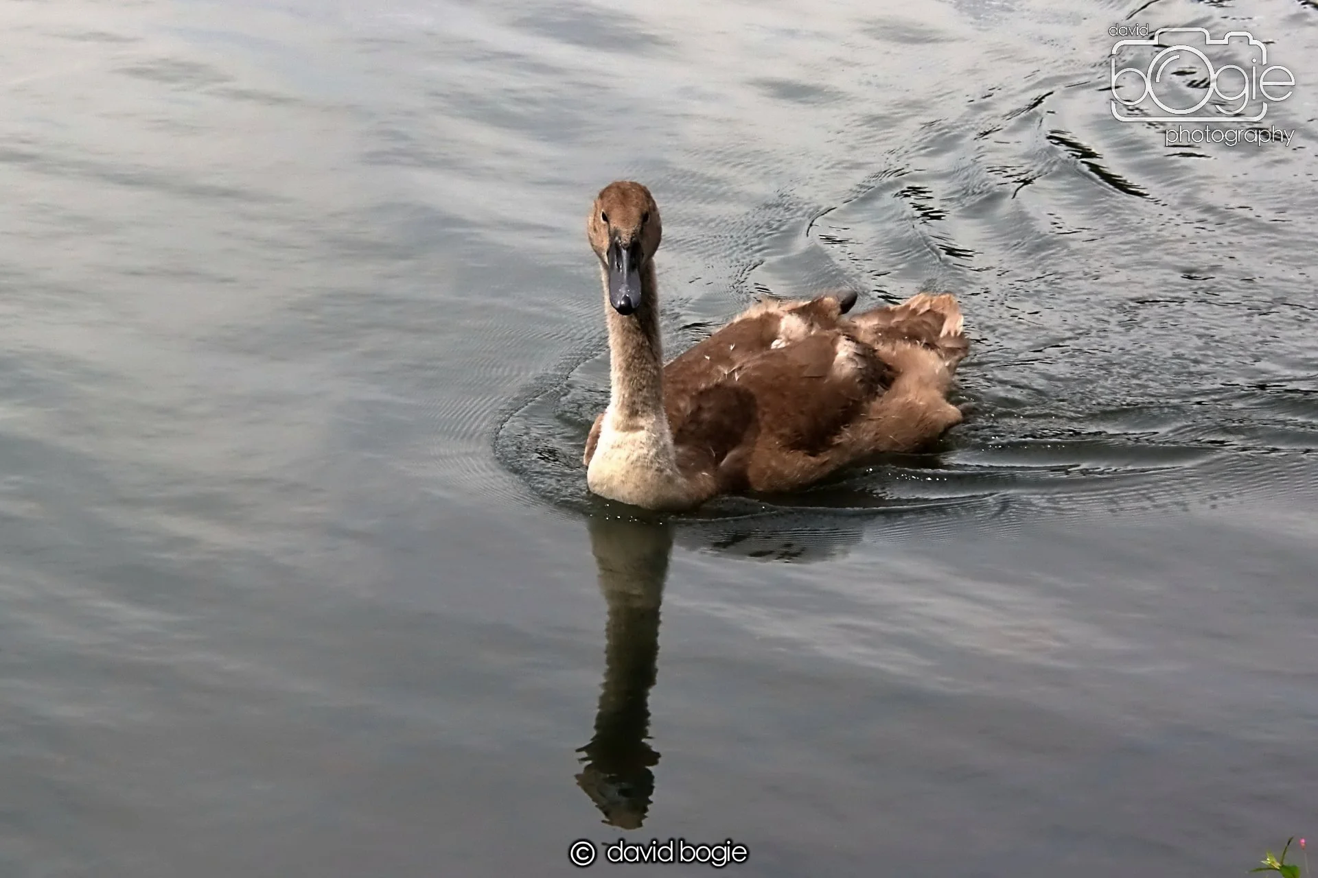 20250721 124000 Beveridge Park 0210.JPG