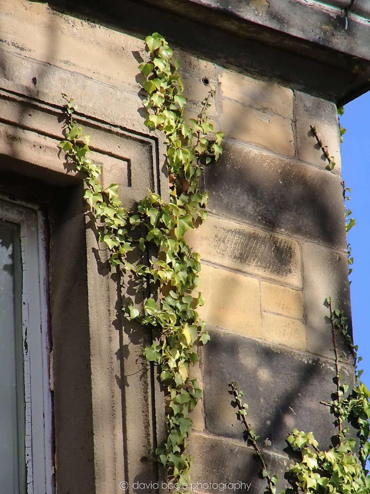 YEAR20240318 KIRKCALDY 0112.jpg