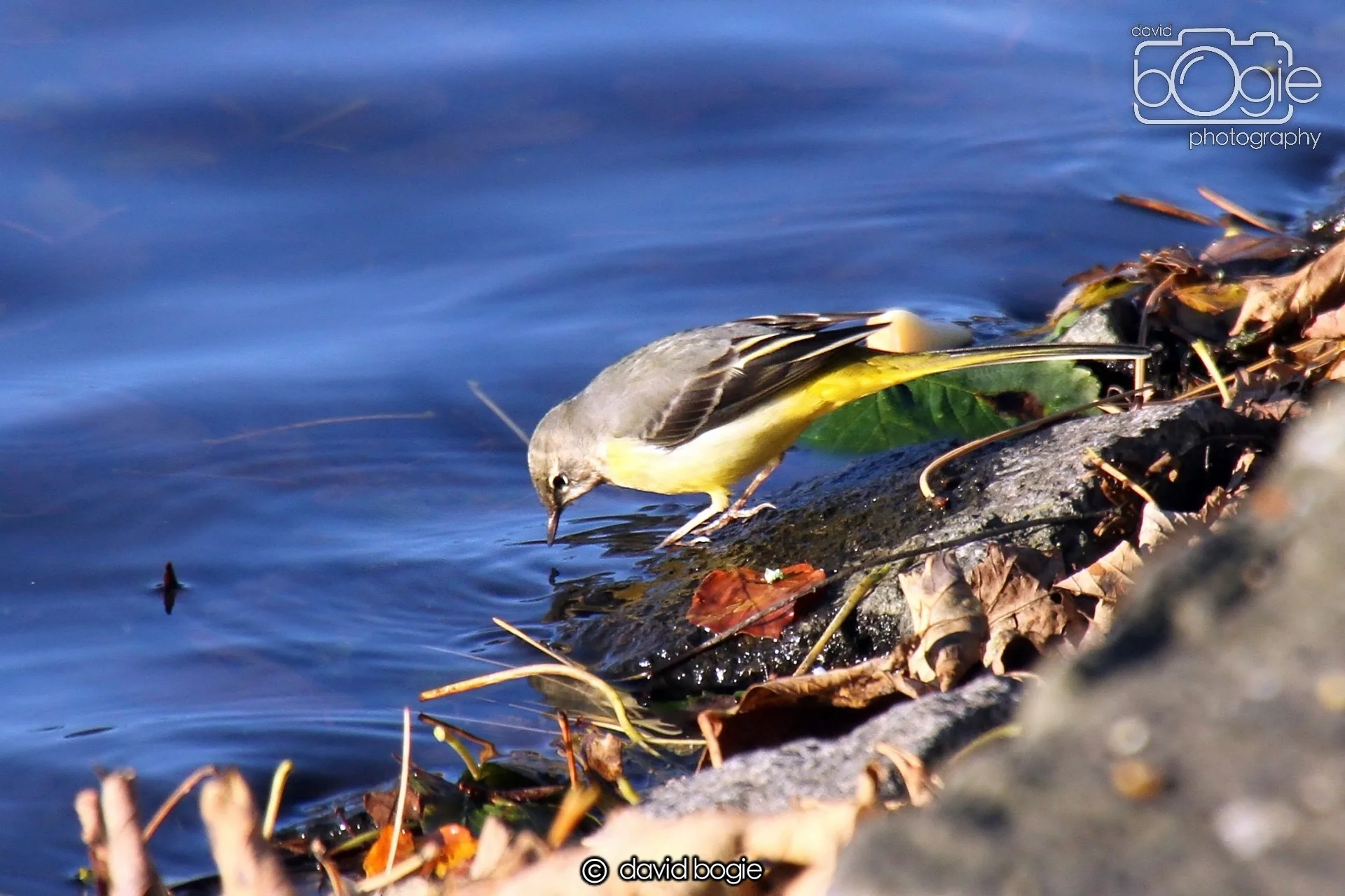 20231022  Beveridge Park  163034 0066.jpg