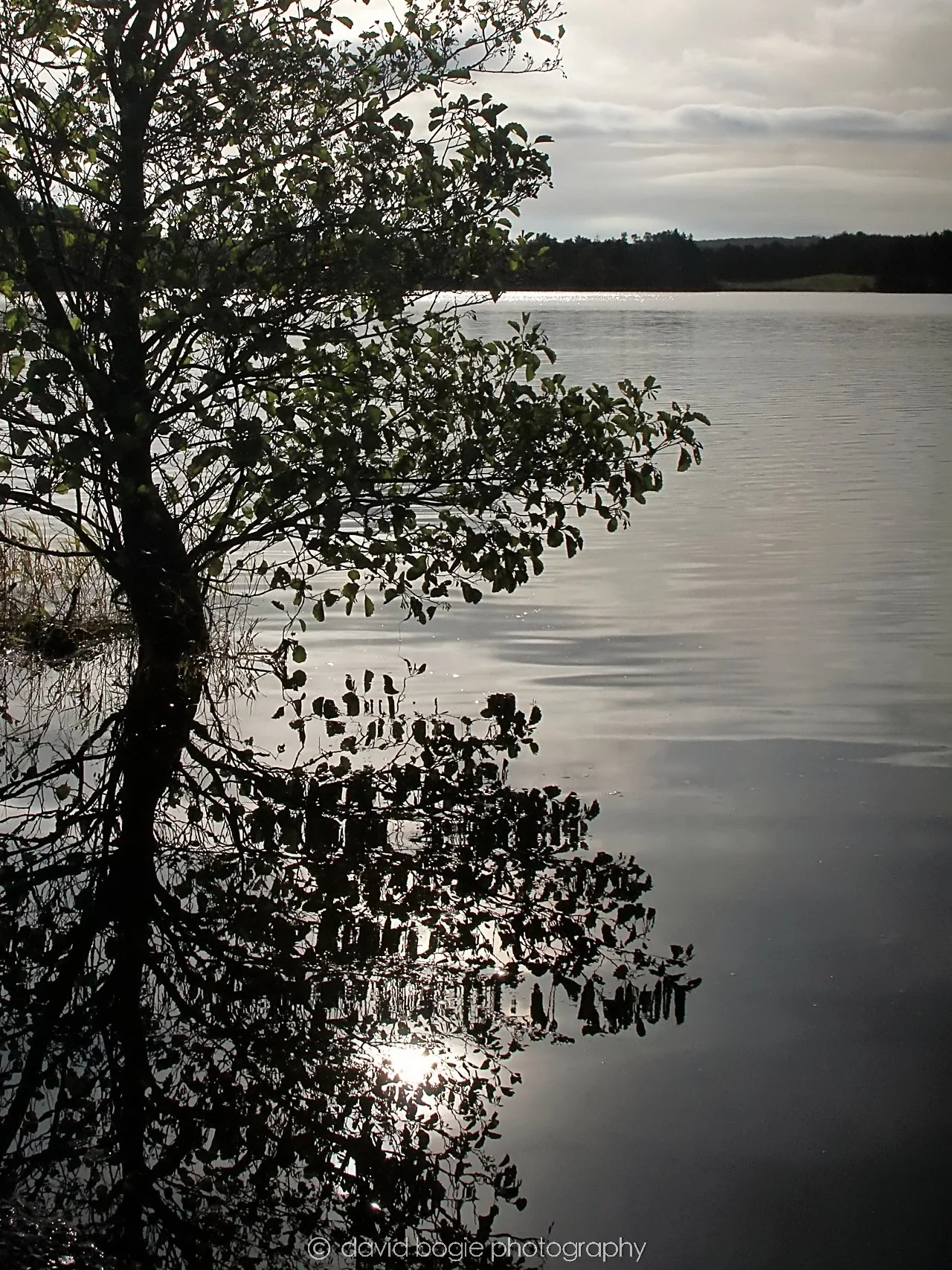 YEAR20231023 Lochore Meadows 131923 0473.jpg
