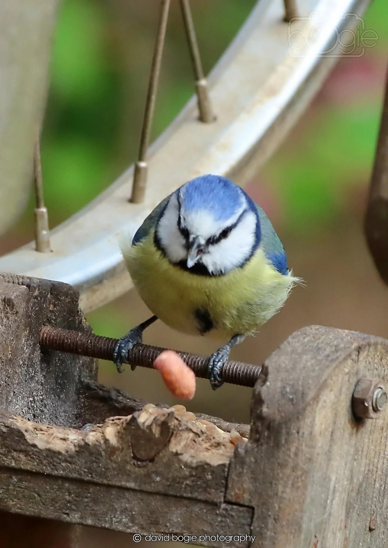 20260326 115501 Silverburn 0291.jpg