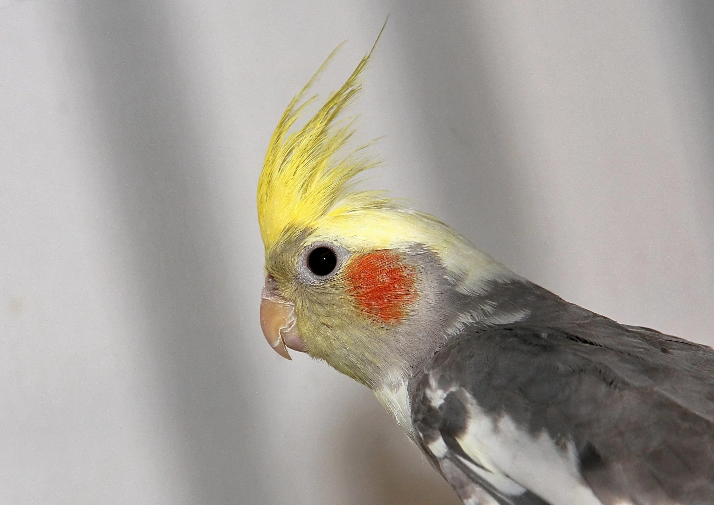 20260331 105127 K&S 0363.jpg