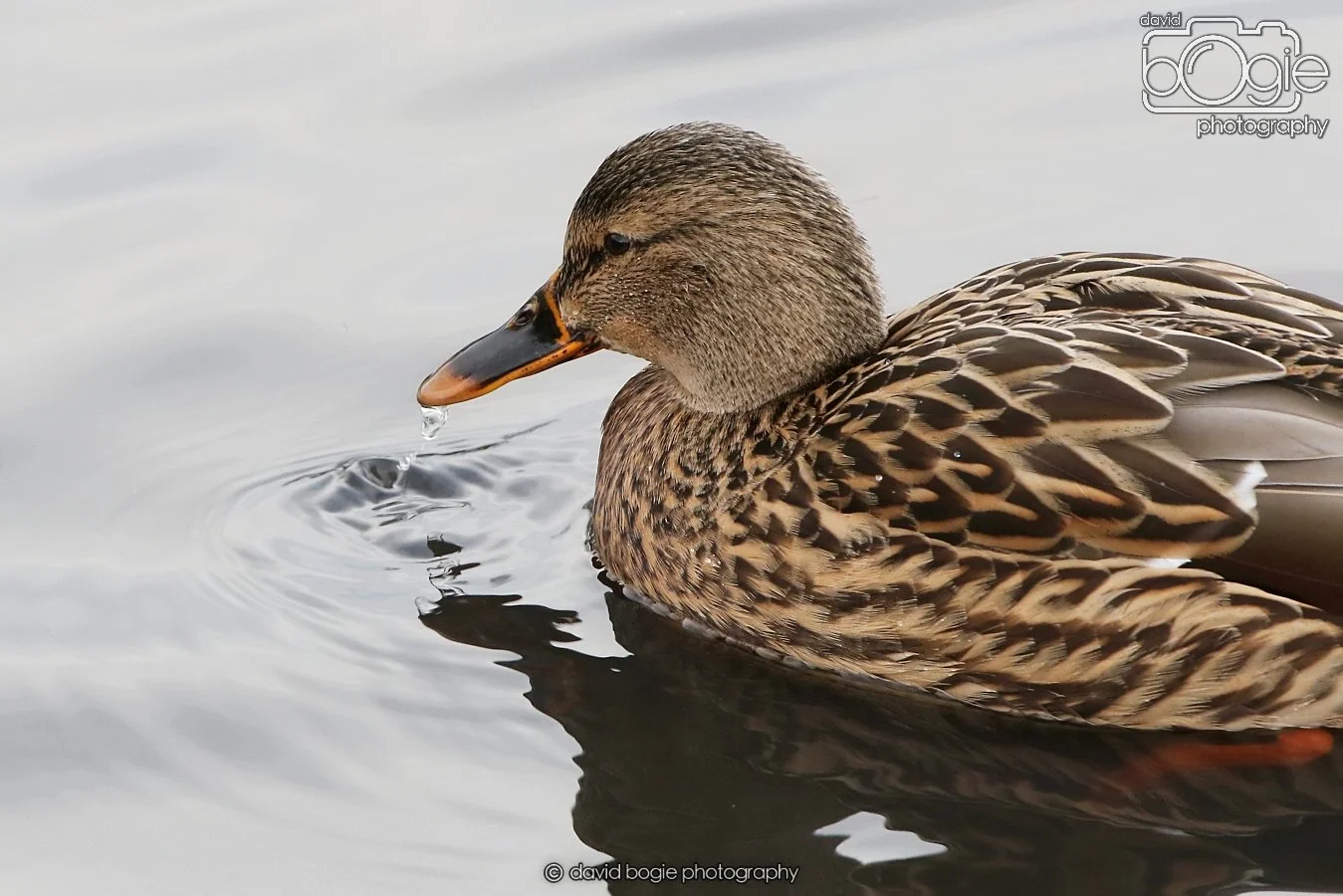 20260114 124628 Beveridge Park 0125.JPG