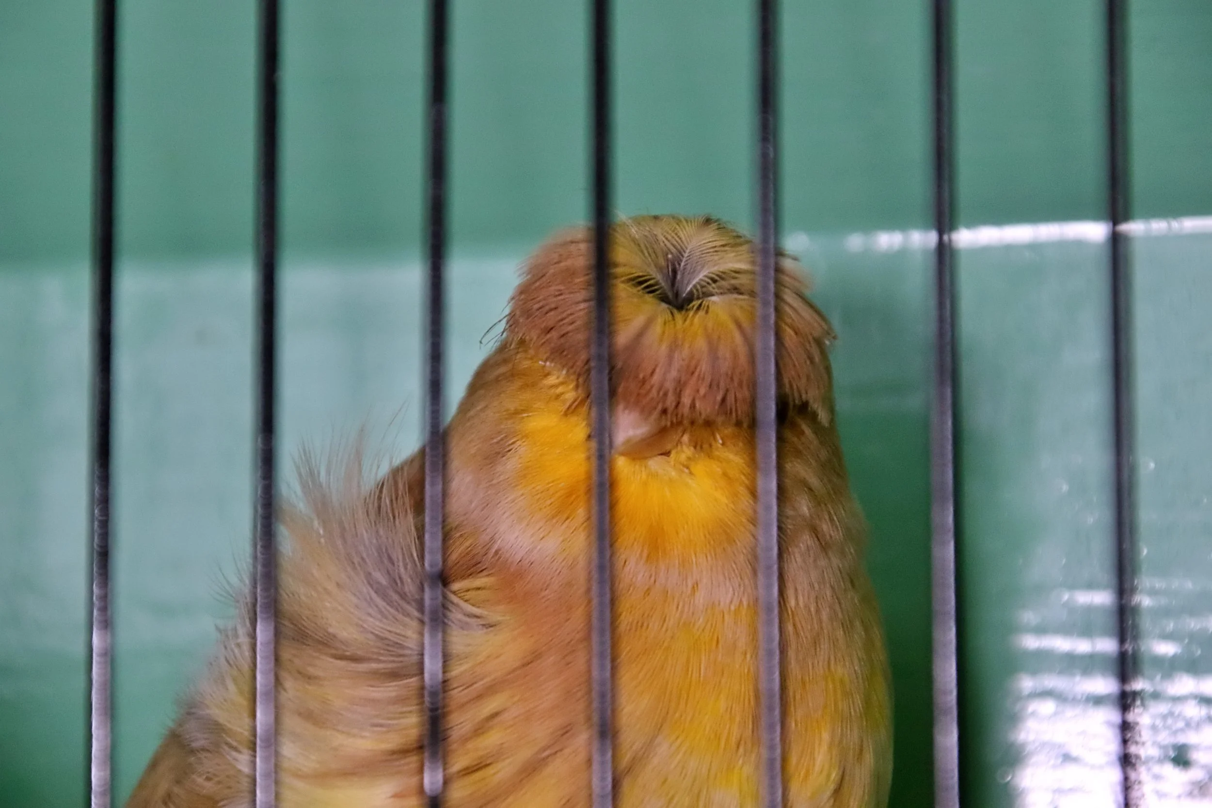 20251102 125622 Markinch CBS  0640.JPG