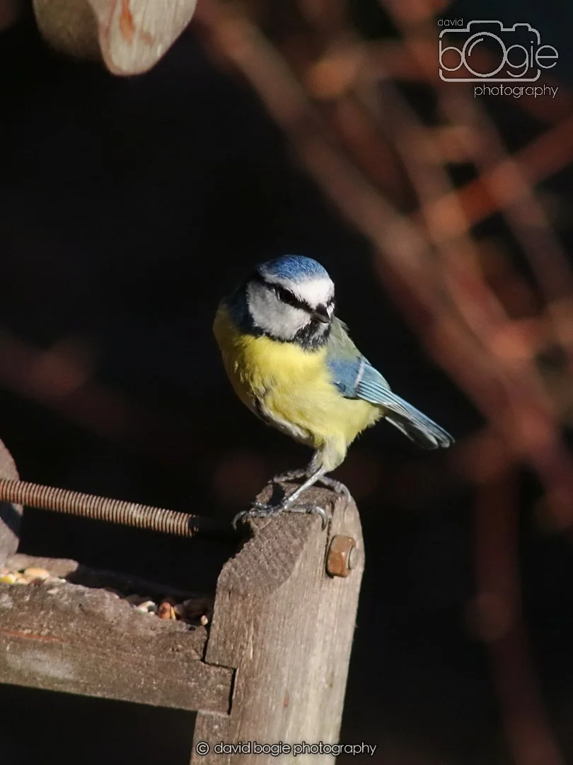 20251231 134340 Silverburn 0200.JPG