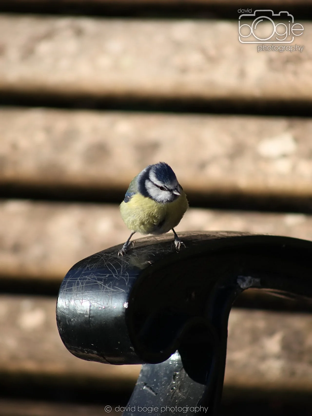 20251125 132919 Silverburn 0035.JPG