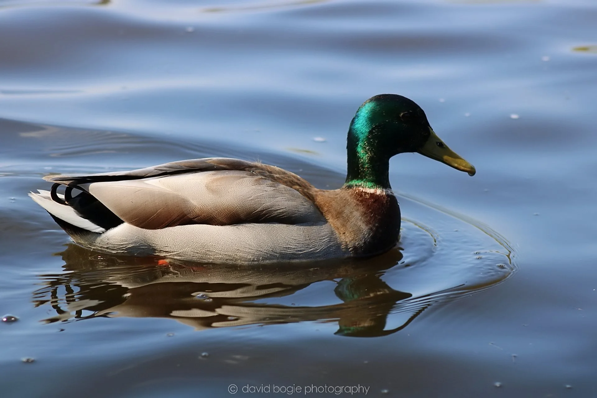 20190411 112313 Otterston 0027.jpg