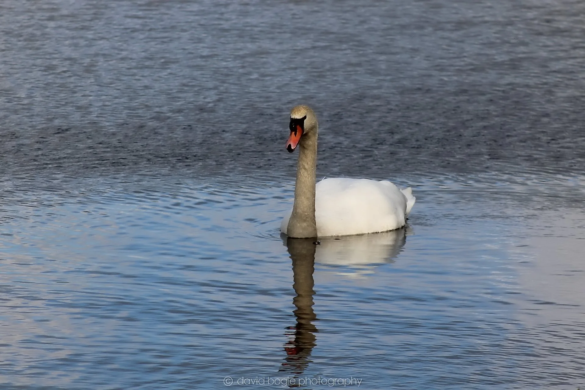 20210222 Lochore (28).jpg