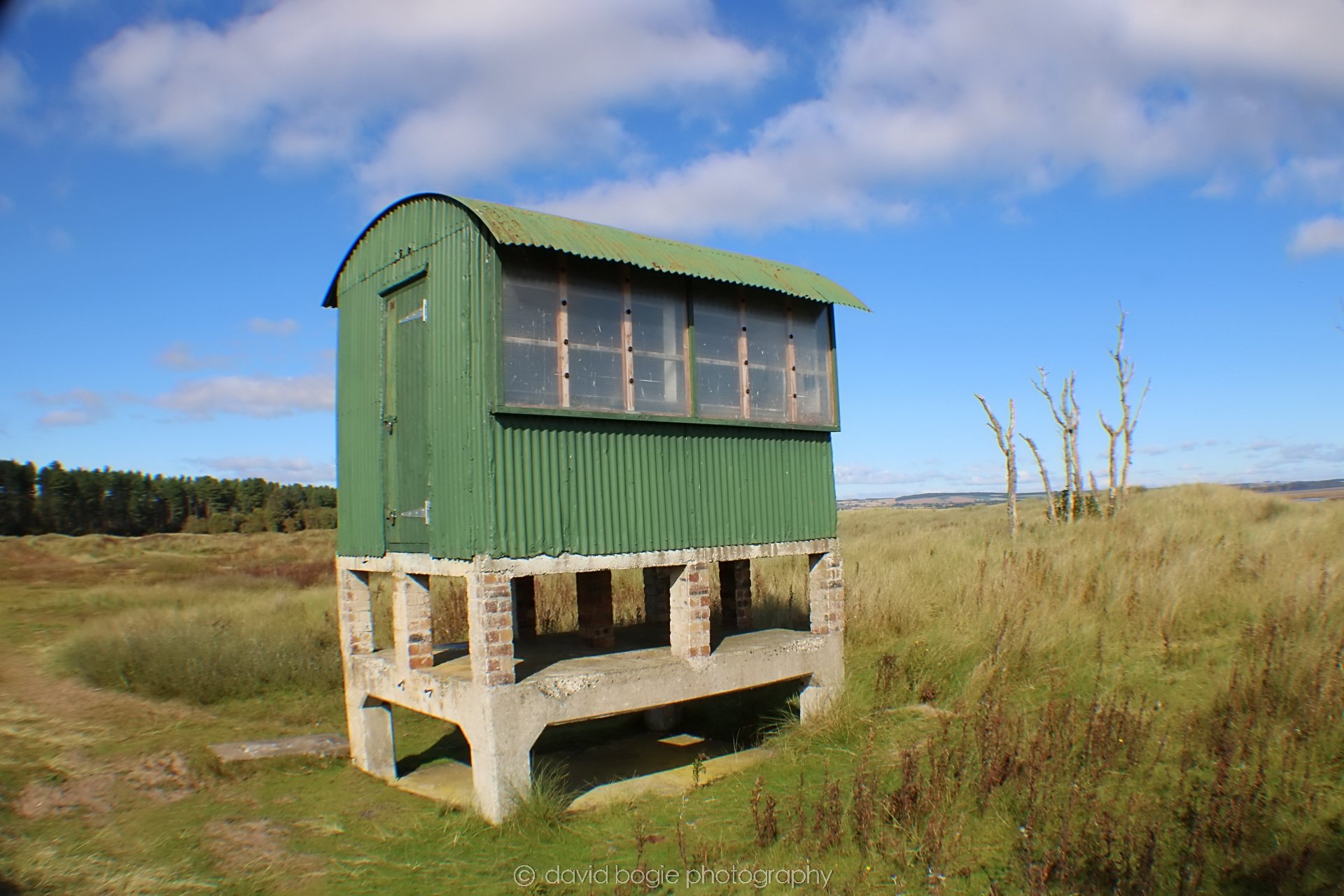 20191002 125719 Tentsmuir 0013.jpg