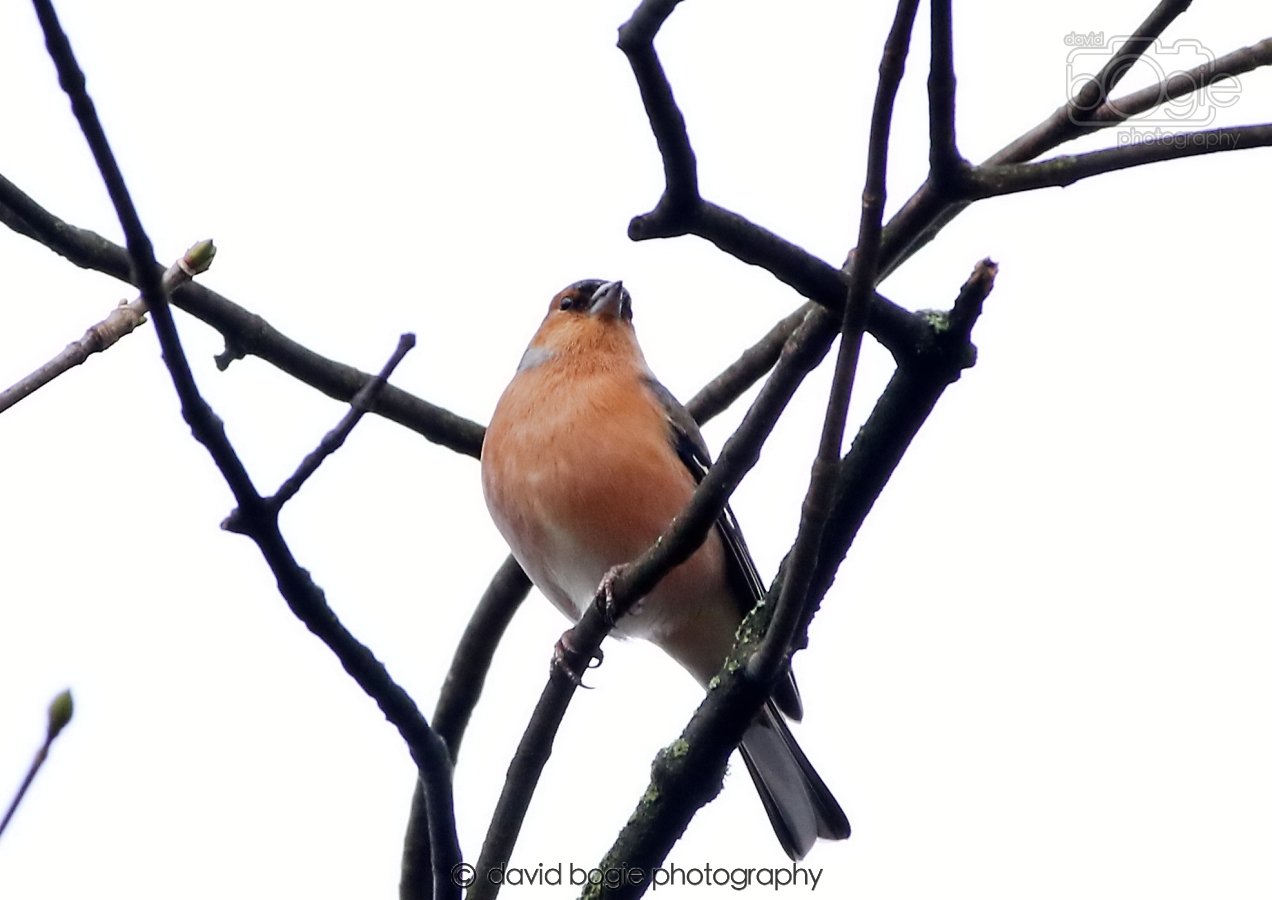 20260306 091411 Dunnikier 0069.jpg