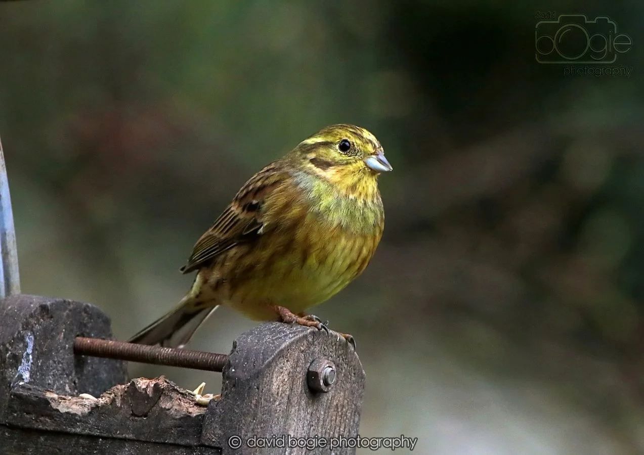 20260215 132612 Silverburn 0198.jpg