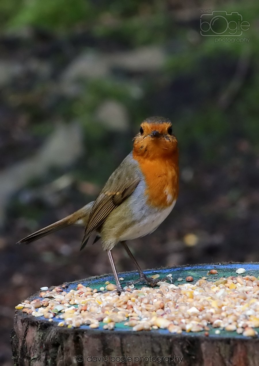 20260306 121833 Dunnikier 0614.jpg