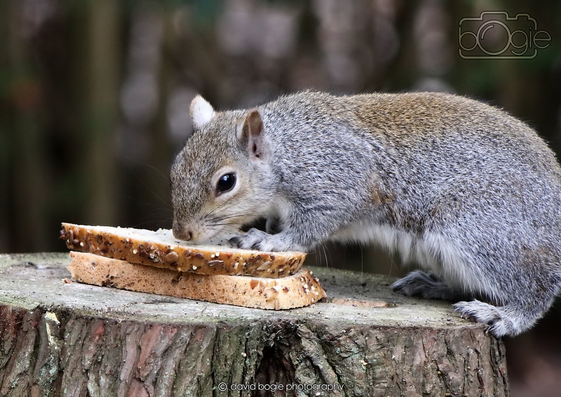 20260330 112718 Dunnikier 0183.jpg