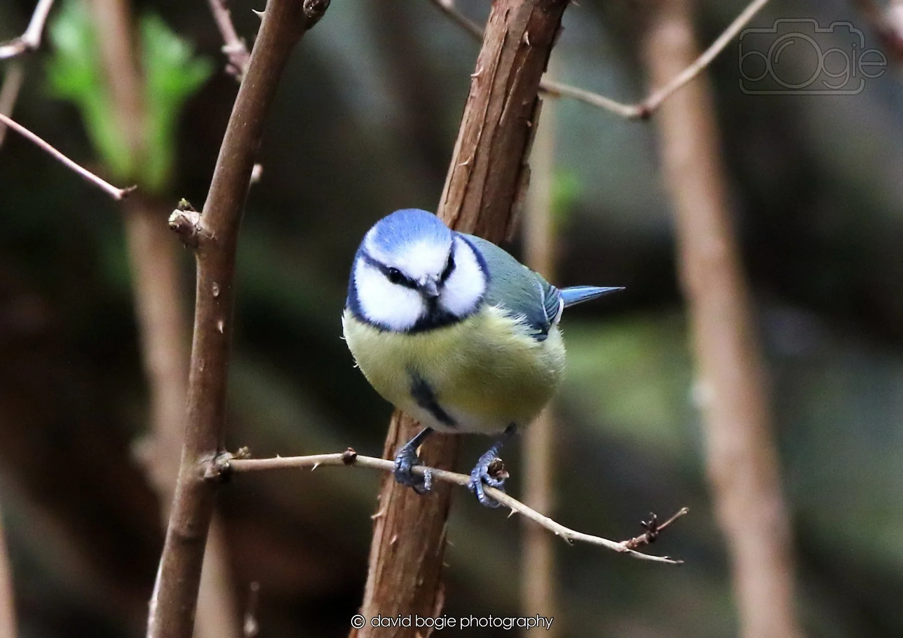 20260326 112007 Silverburn 0051.jpg