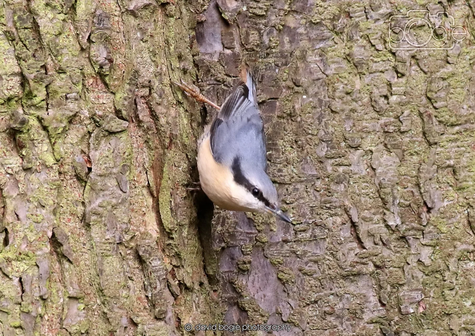 20260330 111403 Dunnikier 0061.jpg