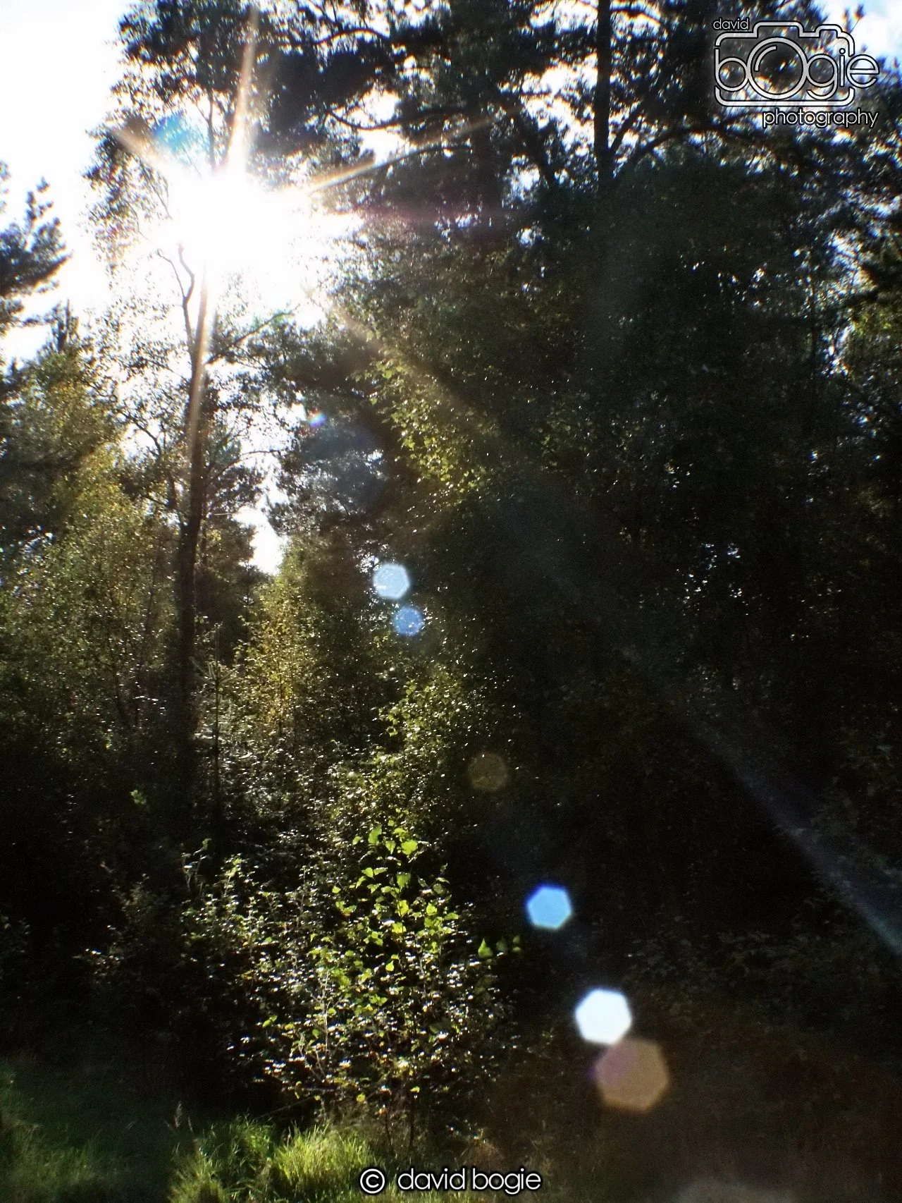 20191002 152438 Tentsmuir 0025.jpg
