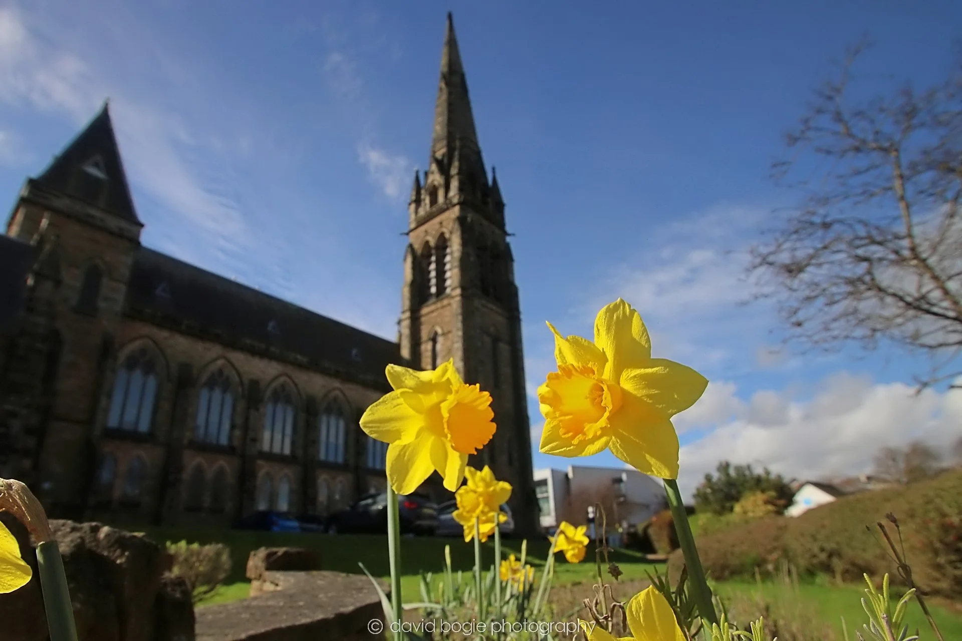 YEAR20240318 KIRKCALDY 0089.jpg